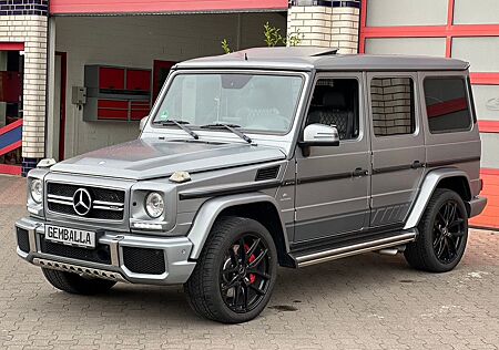 Mercedes-Benz G 63 AMG EDITION 463, PLATIN MAGNO, FOND TV, 21"