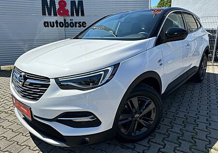Opel Grandland X Grandland 2020 Nav/Kamera/Tempo/Shz/Assiste