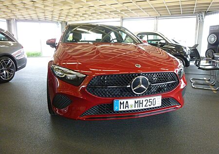 Mercedes-Benz A 250 gebraucht kaufen Mercedes-Benz A 250 ,Kamera,Leder,Totw,Panodach,Ambiente