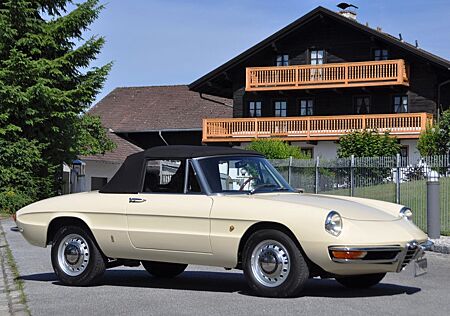 Alfa Romeo Spider Rundheck Duetto