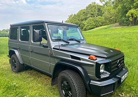Mercedes-Benz G 350 d Professional Professional