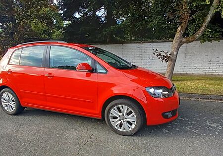 VW Golf Plus Volkswagen 2.0 TDI DSG LIFE LIFE