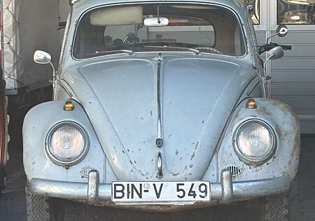 VW Käfer Volkswagen