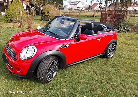 Mini Cooper Cabrio Highgate Highgate