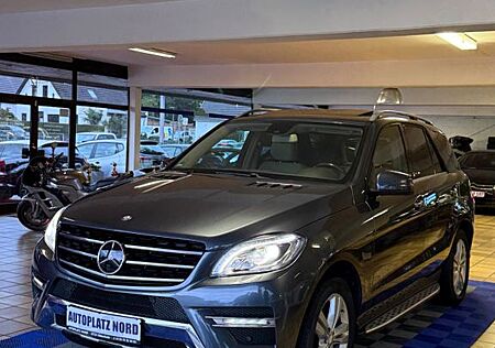 Mercedes-Benz ML 350 gebraucht kaufen Mercedes-Benz ML 350 ML -Klasse BlueEfficiency AMG Paket / 2HD