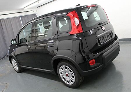 Fiat Panda 1.0 Rückfahrsensoren+DAB+5 Sitze!