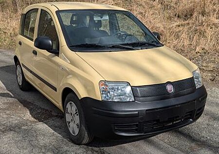 Fiat Panda 1.Hand TÜV neu