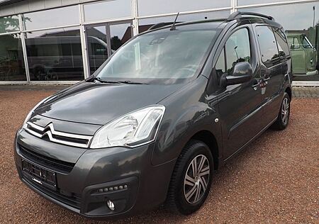 Citroën Berlingo Aktiv/Selbstfahrer Handbediengerät