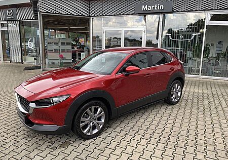 Mazda CX-30 gebraucht kaufen Mazda CX-30 SKYACTIV-G 2.0 M Hybrid Automatik "Selecti