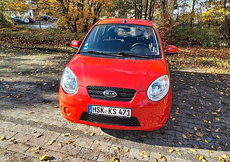 Kia Picanto gebraucht kaufen Kia Picanto 1.1 Attract Attract