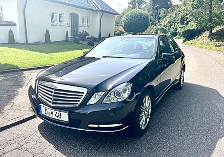 Mercedes-Benz E 220 E220 CDI Elegance | Leder | Panorama | TÜV neu |