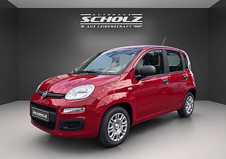 Fiat Panda gebraucht kaufen Fiat Panda MY25 Hybrid 1.0 GSE 51kw 70PS