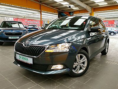 Skoda Fabia 1,0 TSI mit Sitzheizung Kamera AppleCar