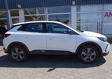Opel Grandland X Grandland GS PDC RFK TWW NAVI abn. AHK Allwetter