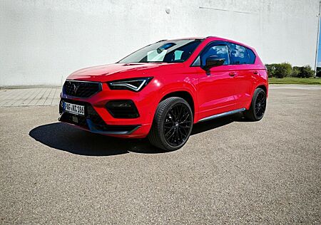 Cupra Ateca 2.0 TSI DSG 4x4 360° DCC ACC AHK Beats Winter