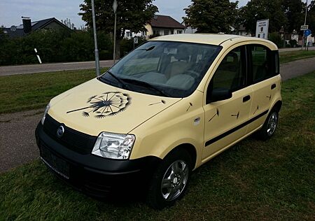 Fiat Panda Klima Hu/Au neu Zahnr+Wa.pu. neu gepflegt