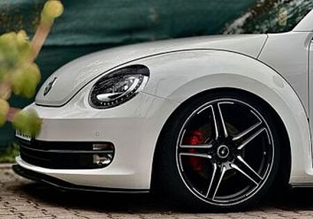 VW New Beetle Volkswagen