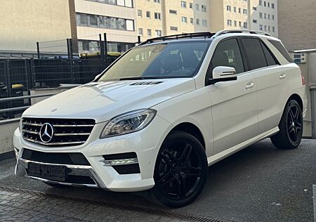 Mercedes-Benz ML 350 CDI BlueTec AMG Line/PANO/RFK/AHK/LUFTFED