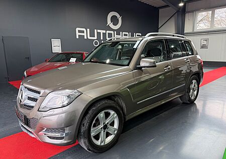 Mercedes-Benz GLK 250 CDI BlueTec 4Matic/R-Kamera/Bi-Xenon