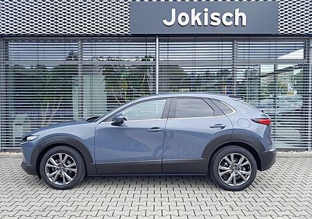 Mazda CX-30 SKY-X 186PS M-HYBRID 6AT DESIGN & PREMIUM