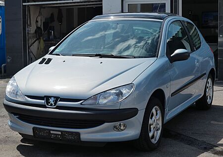 Peugeot 206 Grand Filou Cool
