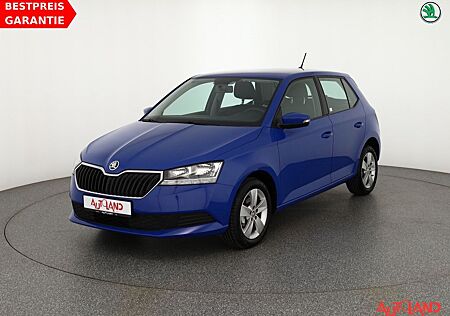 Skoda Fabia 1.0 MPI Cool Plus Klima Sitzheizung DAB