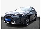 Lexus UX UX250h Style Edition Modell 2024