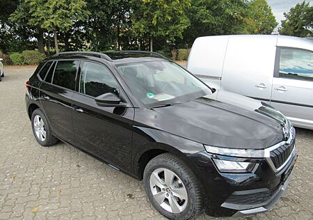 Skoda Kamiq Ambition PDC SHZ Apple