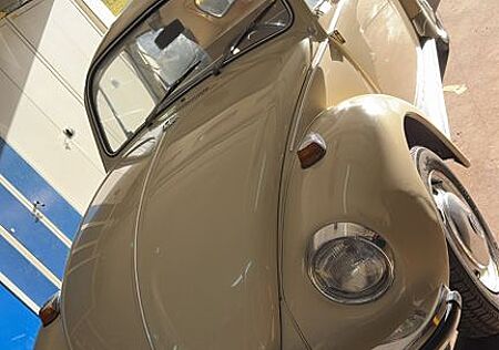 VW Käfer Volkswagen