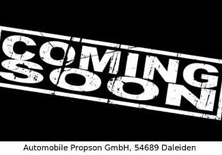 Mini Cooper Countryman Untamed Edition RFK SHZ