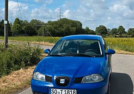 Seat Ibiza NEUER TÜV 1,9TDI 131PS. Viele Neute