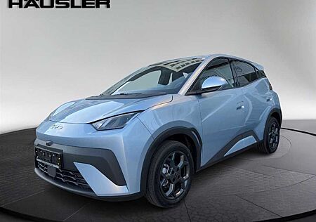 BYD DOLPHIN SURF COMFORT 156ps SHZ 360°Kamera CarPla