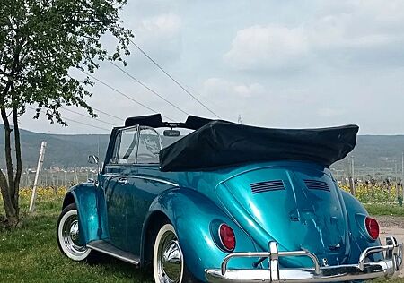 VW Käfer Volkswagen