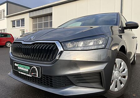 Skoda Fabia 1.0 Active 91€ m. 20% Anzahlung DAB LED PD