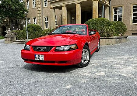 Ford Mustang Leder