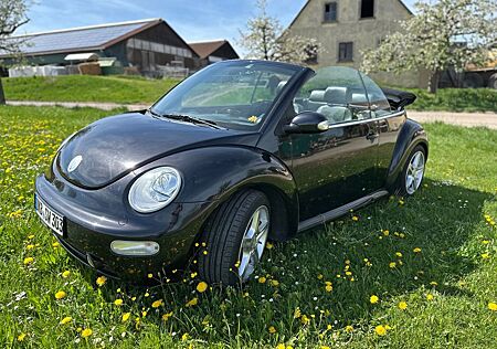 VW Beetle Volkswagen Cabrio Leder Klima xenon El. Verdeck