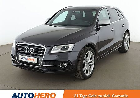 Audi SQ5 3.0 V6 TDI quattro Aut*AHK*STHZG*NAVI*XENON*