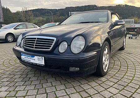 Mercedes-Benz 200 CLK Kompressor/Cabrio/Leder/Sitzheizung/PDC