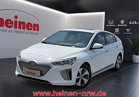Hyundai Ioniq EV Style NAVI LED ACC 16Z