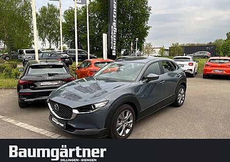 Mazda CX-30 e-Skyactiv-G 2.0 Automatik Kamera/ACC/PDC