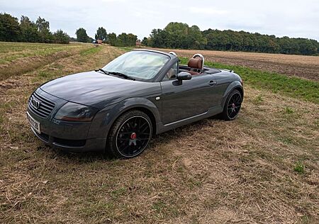 Audi TT Roadster 1.8T Nimbusgrün+Baseball-Leder
