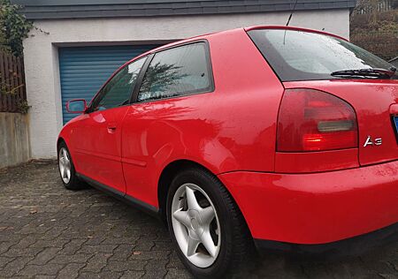Audi A3 1.6 Youngtimer 1.Hand 125000km Tüv/AU Neu