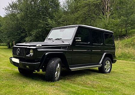 Mercedes-Benz G 400 CDI Station Wagon Lang - Austauschmotor