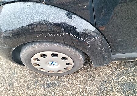 VW Beetle Volkswagen