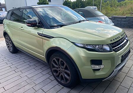 Land Rover Range Rover Evoque Dynamic Navi/Pano/Leder/Xenon
