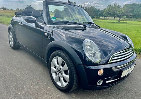 Mini Cooper Cabrio Leder PDC SHZ