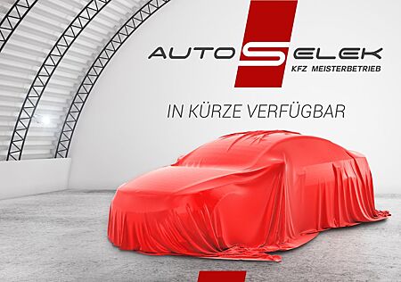 Skoda Fabia Cool Edition TÜV INSPEKTION NEU KLIMA