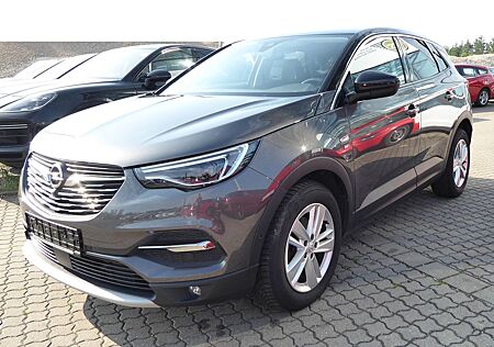 Opel Grandland X 1.5 CDTI 2020 Navi 360° PDC LED