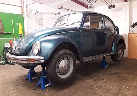 VW Käfer Volkswagen