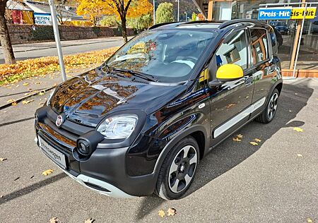 Fiat Panda gebraucht kaufen Fiat Panda Pandina Cross